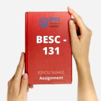 BESC 131 Assignment Solved