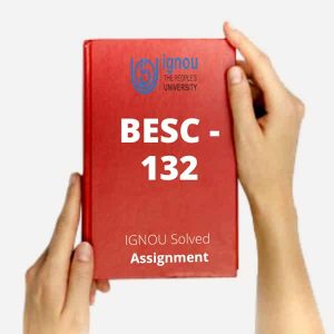 BESC 132 Assignment Solved
