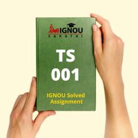 TS 001 Assignment Solved