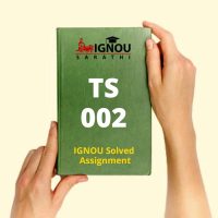 TS 002 Assignment Solved