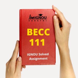 BECC Assigment 111