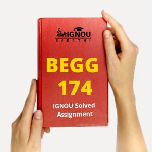 BEGG 174 Assignment