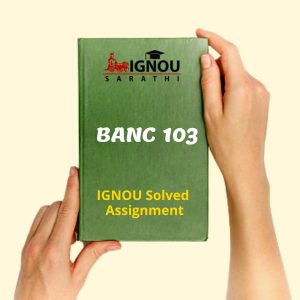 BANC 103 Assignment