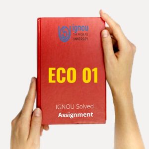 ECO 01 Solved Assignment